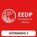 Alfabetizzazione digitale - INTERMEDIATE PROFILE (INTERMEDIO 3)